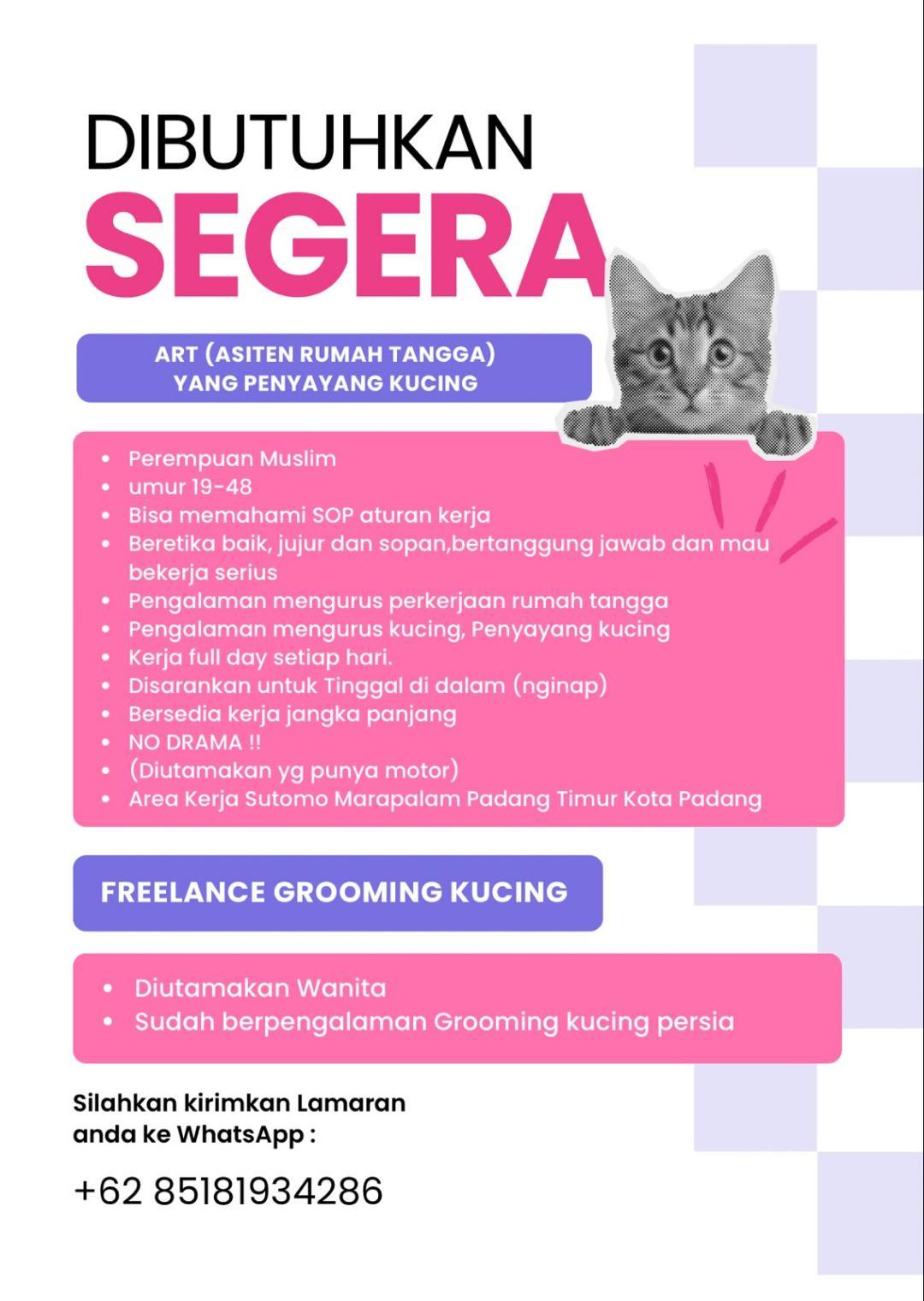 Asisten Rumah Tangga yang penyayang Kucingย